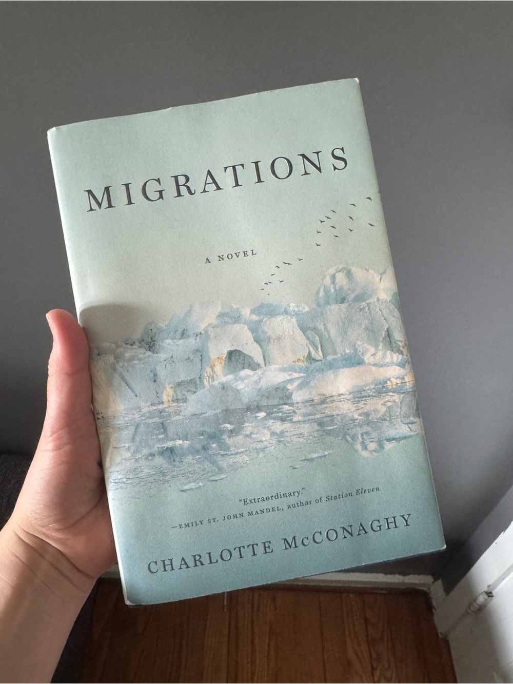 Migrations by Charlotte McConaghy - Soft Blue Hardcover Novel